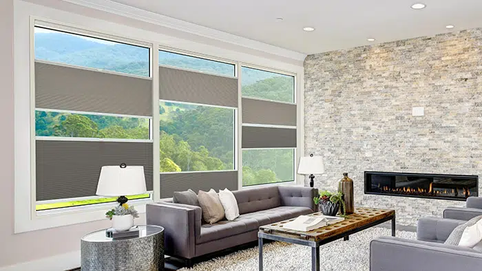 French door shade